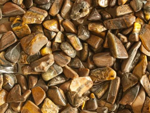 Tiger eye Stock Photos
