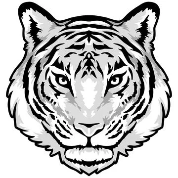 Tiger Face Expression Illustration. Tattoo Art. Vector. Stock Illustration
