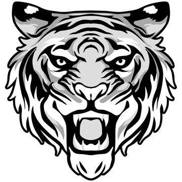 Tiger Face Expression Illustration. Tattoo Art. Vector. Stock Illustration