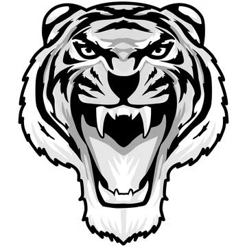 Tiger Face Expression Illustration. Tattoo Art. Vector. Stock Illustration