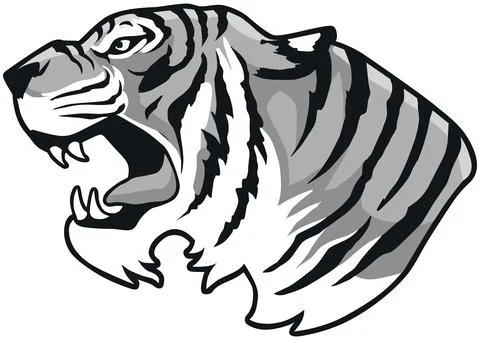 Tiger Face Expression Illustration. Tattoo Art. Vector. Stock Illustration