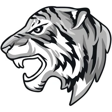 Tiger Face Expression Illustration. Tattoo Art. Vector. Stock Illustration