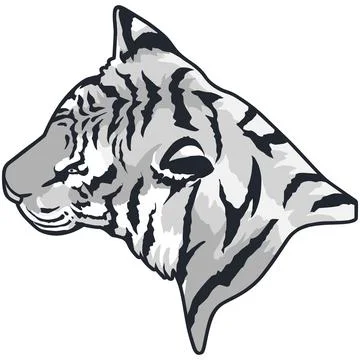 Tiger Face Expression Illustration. Tattoo Art. Vector. Stock Illustration