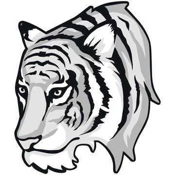Tiger Face Expression Illustration. Tattoo Art. Vector. Stock Illustration