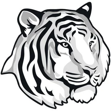 Tiger Face Expression Illustration. Tattoo Art. Vector. Stock Illustration