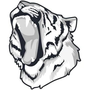 Tiger Face Expression Illustration. Tattoo Art. Vector. Stock Illustration