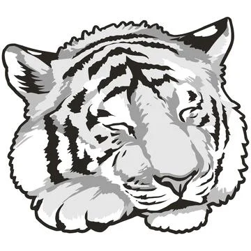 Tiger Face Expression Illustration. Tattoo Art. Vector. Stock Illustration