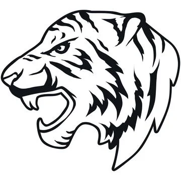 Tiger Face Expression Illustration. Tattoo Art. Vector. Stock Illustration