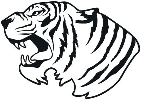 Tiger Face Expression Illustration. Tattoo Art. Vector. Stock Illustration