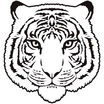 Tiger Face Expression Illustration. Tattoo Art. Vector. Stock Illustration