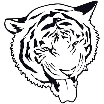 Tiger Face Expression Illustration. Tattoo Art. Vector. Stock Illustration