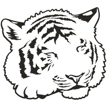 Tiger Face Expression Illustration. Tattoo Art. Vector. Stock Illustration