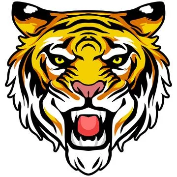 Tiger Face Expression Illustration. Tattoo Art. Vector. Stock Illustration