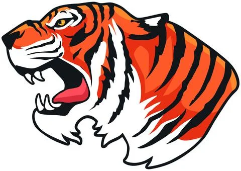 Tiger Face Expression Illustration. Tattoo Art. Vector. Stock Illustration