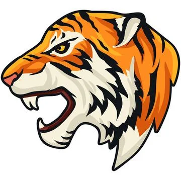 Tiger Face Expression Illustration. Tattoo Art. Vector. Stock Illustration
