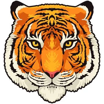 Tiger Face Expression Illustration. Tattoo Art. Vector. Stock Illustration