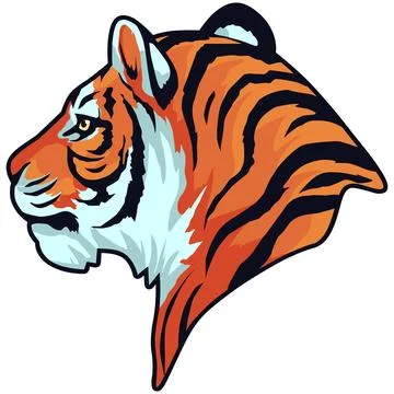 Tiger Face Expression Illustration. Tattoo Art. Vector. Stock Illustration