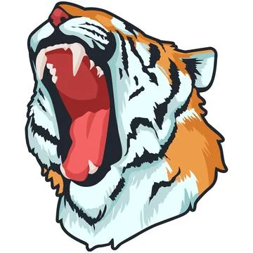 Tiger Face Expression Illustration. Tattoo Art. Vector. Stock Illustration