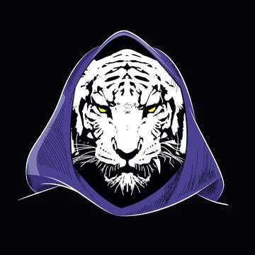 Tiger face Illustrazione stock