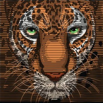 Tiger face Stock Illustration