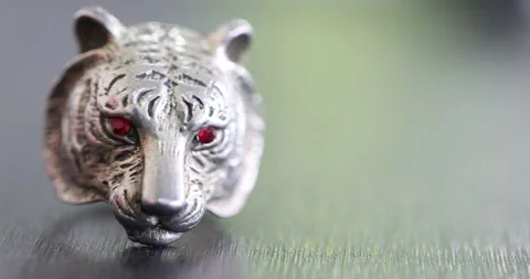 Tiger Face Metal Ring 스톡 동영상 324018355