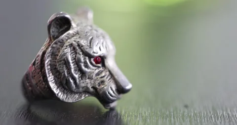 Tiger Face Metal Ring Stock Footage 324018605