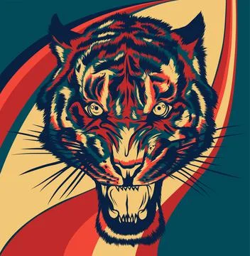 Tiger face. Vector illustration of a tiger head. Stock-Illustration
