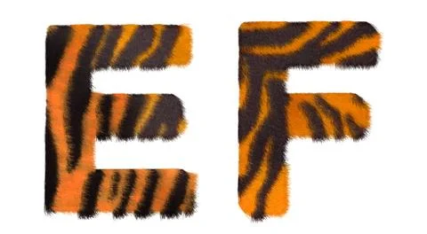 Tiger fell e and f letters isolated Stock Illustration