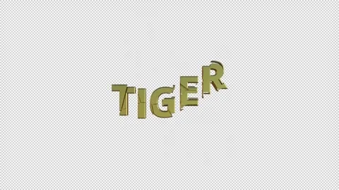 TIGER Stock Footage 307982223