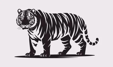 Tiger Full Body Black Vector Illustration Detailed Wild Animal Design Stock Illustration