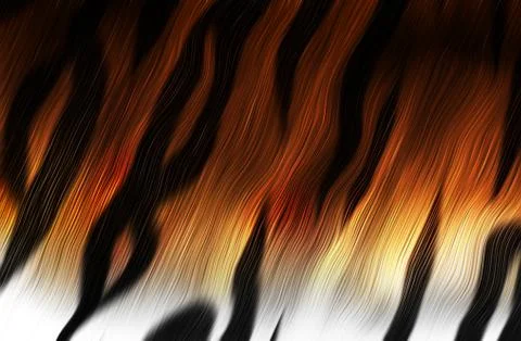 Tiger fur Stock Illustration
