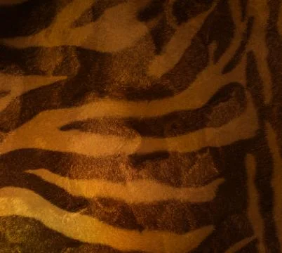 Tiger fur Stock Photos