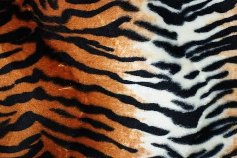Tiger fur Foto stock