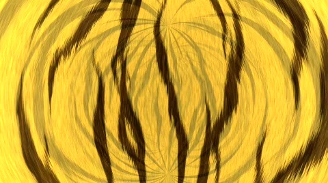 Tiger fur, seamless Stock Footage 643991
