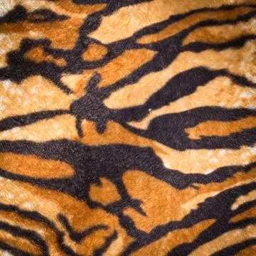Tiger fur texture Stock Photos