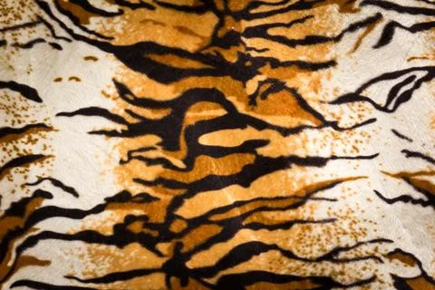 Tiger fur texture Stock Photos