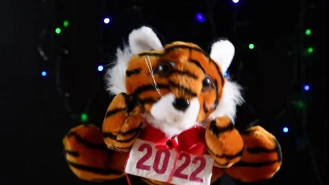 Tiger with gift box, New Year 2022 symbol Video stock 162245785