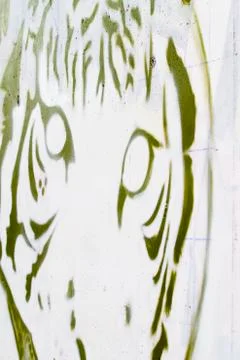 Tiger graffiti on a white wall Stock Illustration