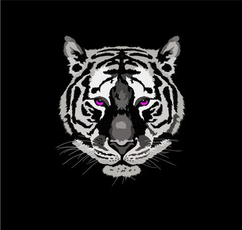 Tiger graphics vector Illustrazione stock