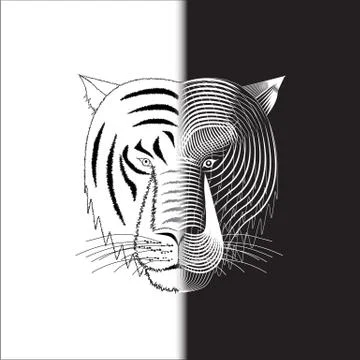 Tiger half face Stock Illustration