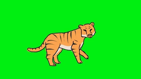 Green Screen Tiger Stock Footage ~ Royalty Free Stock Videos | Page 2