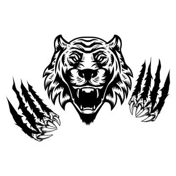Tiger head and claws. Design element for logo, emblem, sign, poster, t shir.. Illustrazione stock