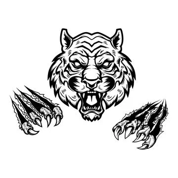 Tiger head and claws. Design element for logo, emblem, sign, poster, t shir.. Illustrazione stock