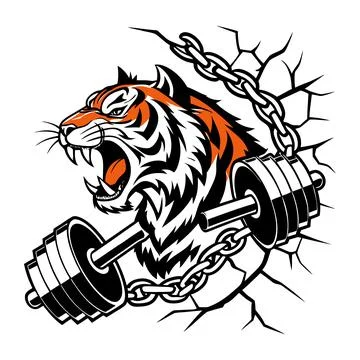 Tiger Head Breaking Through Wall with Dumbbell and Chain roaring angry fierce Stock Illustration