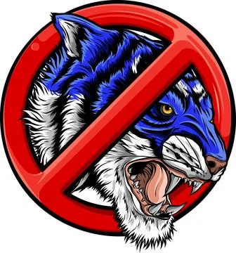 Tiger head in detailed style vector illustration design Illustrazione stock