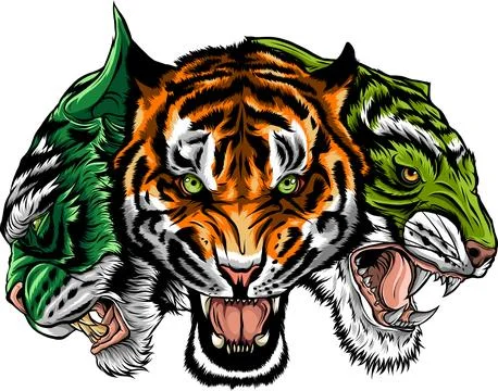 Tiger head in detailed style vector illustration design Stock Illustration