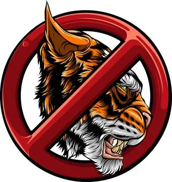 Tiger head in detailed style vector illustration design Stock Illustration