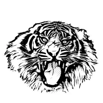 Tiger head graphic Stock Illustration