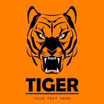 Tiger Head Stock Illustration