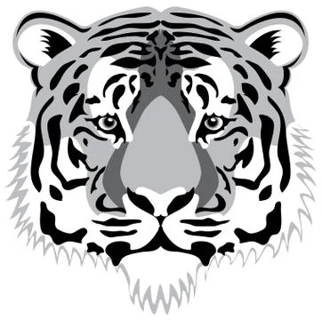 Tiger head Stock Illustration